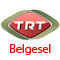TRT belgesel izle